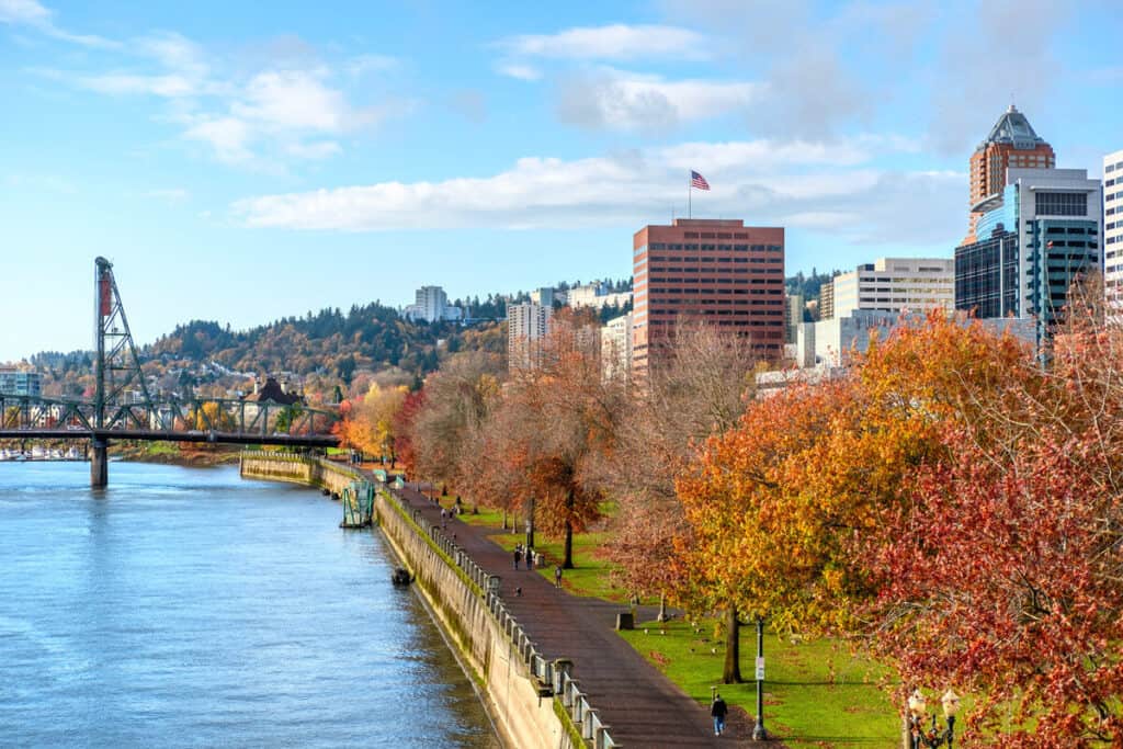 A city river with trees and buildings in the background during fall.